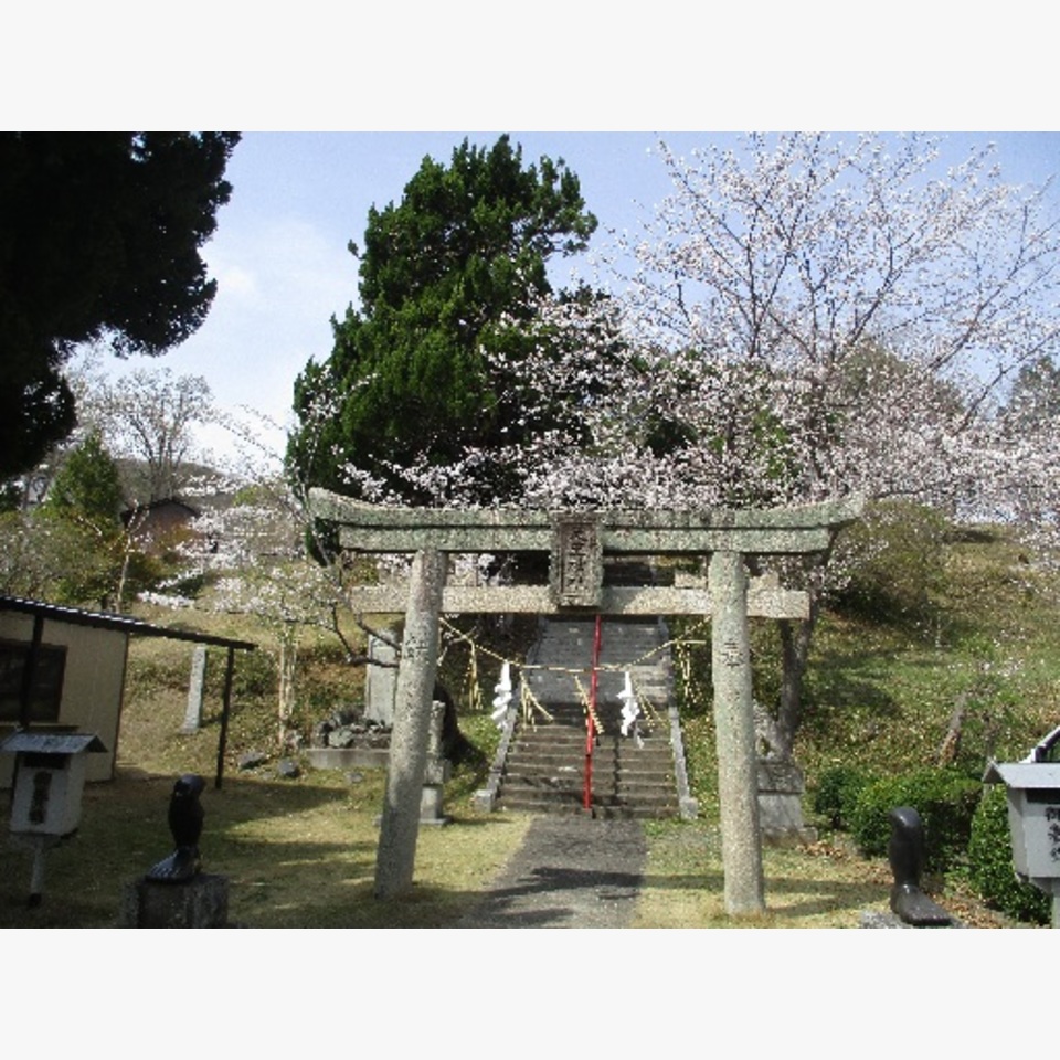 お花見に行ってきましたの投稿画像02